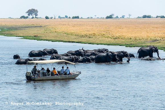 Chobe River, Chobe National Park, Botswana