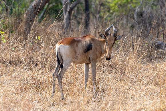 Zambia, Southern Africa