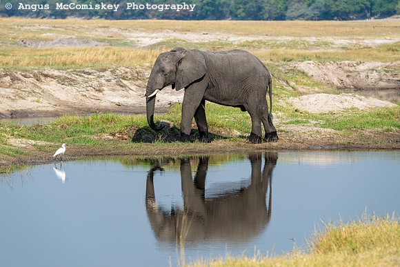 Chobe National Park, Botswana