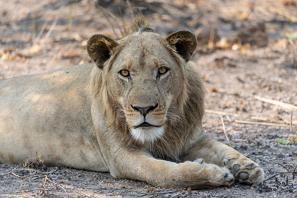 Zambia, Southern Africa