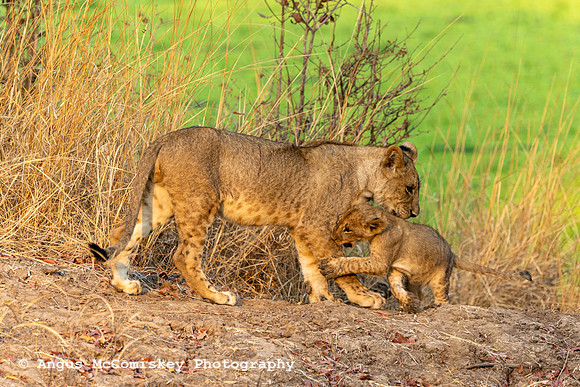 Zambia, Southern Africa