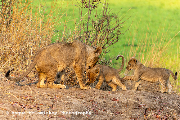 Zambia, Southern Africa