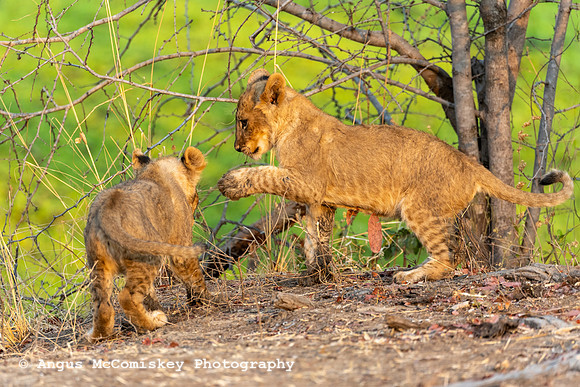 Zambia, Southern Africa