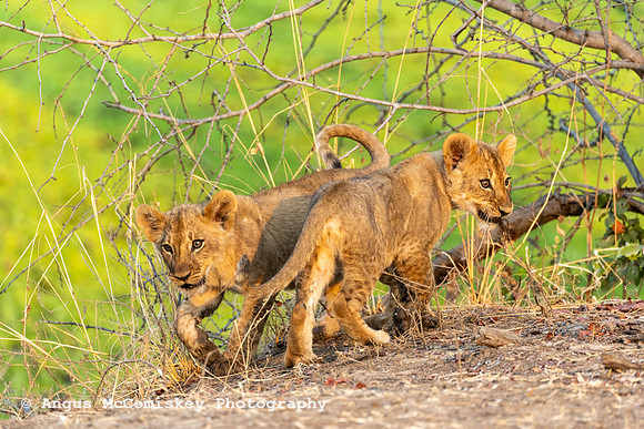 Zambia, Southern Africa