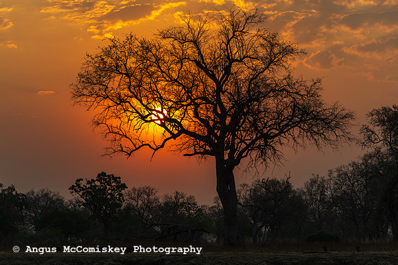 Zambia, Southern Africa