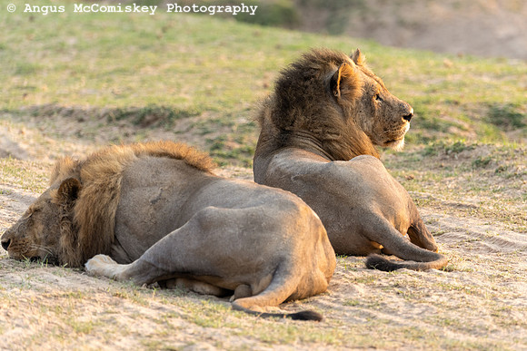 Zambia, Southern Africa