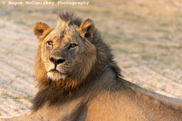 Zambia, Southern Africa