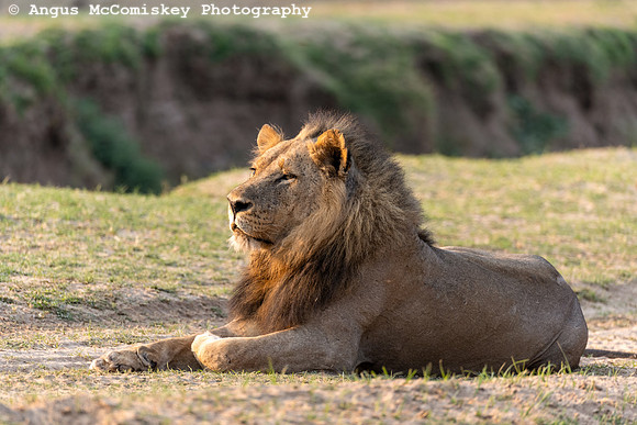 Zambia, Southern Africa