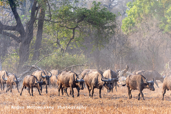 Zambia, Southern Africa