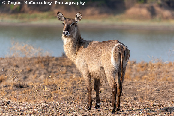 Zambia, Southern Africa