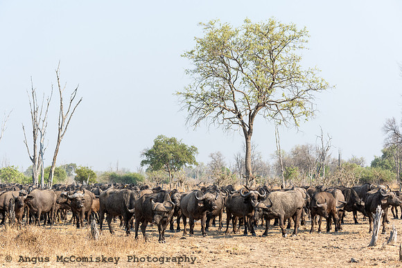 Zambia, Southern Africa