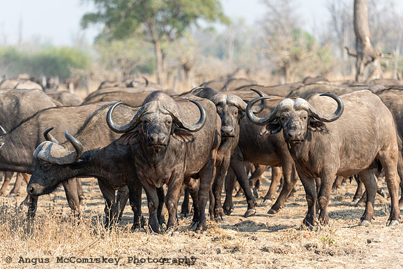 Zambia, Southern Africa