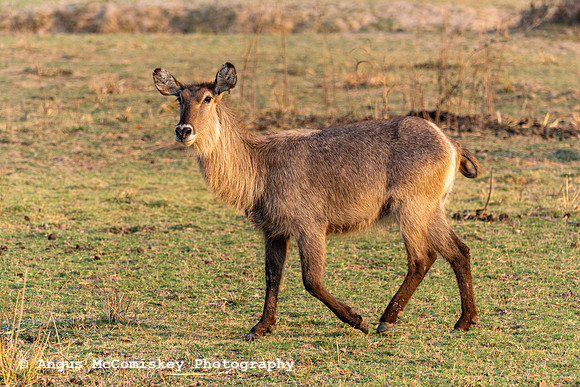 Zambia, Southern Africa