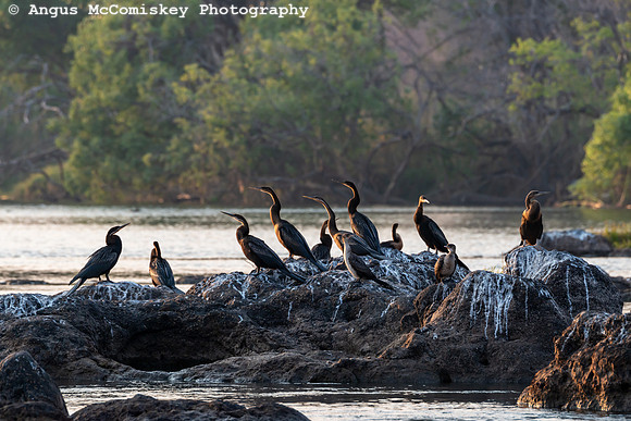 Chobe River, Chobe National Park, Botswana